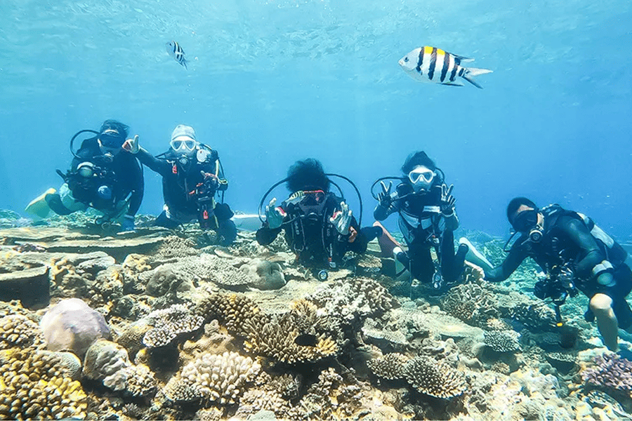 マリン事業ダイビング